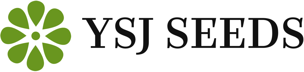 YSJ SEEDS logo